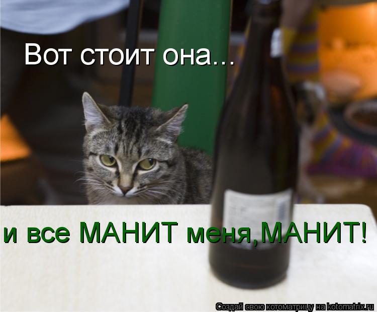 Котоматрица: Вот стоит она... и все МАНИТ меня,МАНИТ!