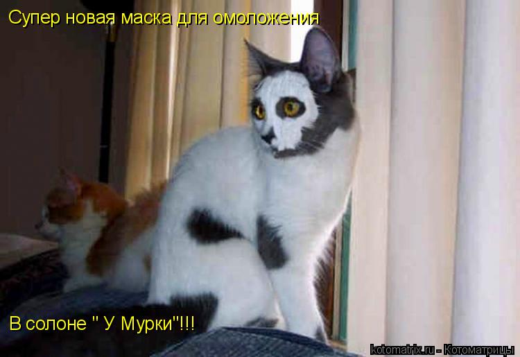 Котоматрица: Супер новая маска для омоложения В солоне " У Мурки"!!!