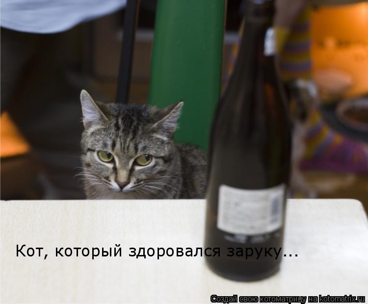 Кот, который здоровался заруку...... Котоматрица: Кот, который здоровался заруку...