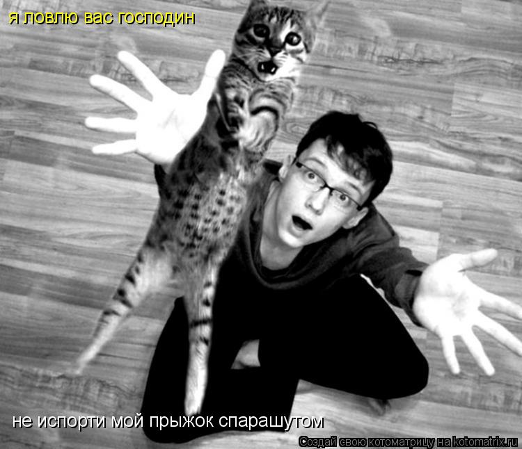 Котоматрица: я ловлю вас господин не испорти мой прыжок спарашутом
