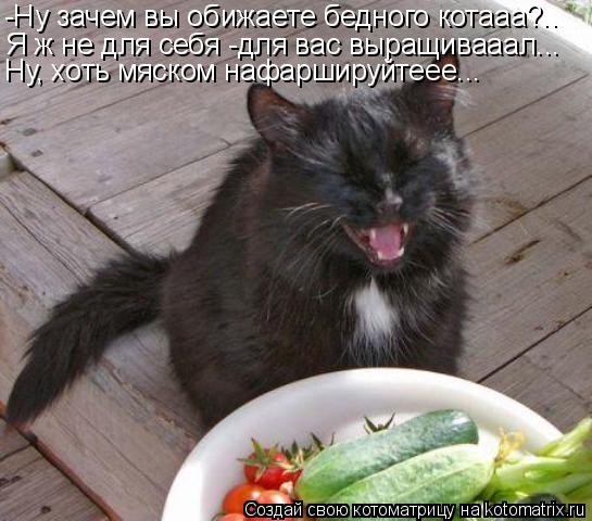 Котоматрица: -Ну зачем вы обижаете бедного котааа?.. Я ж не для себя -для вас выращивааал... Ну, хоть мяском нафаршируйтеее...