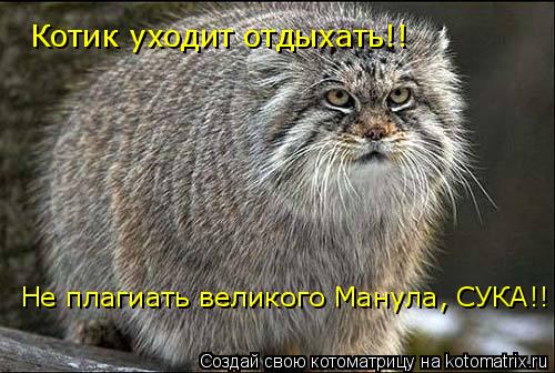 Котик уходит отдыхать!! Не плагиать великого Манула, СУКА!!... Котоматрица: Котик уходит отдыхать!! Не плагиать великого Манула, СУКА!!