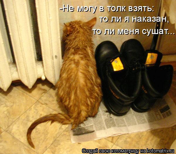 -Не могу в толк взять: то ли я наказан, то ли меня сушат...... Котоматрица: -Не могу в толк взять: то ли я наказан, то ли меня сушат...