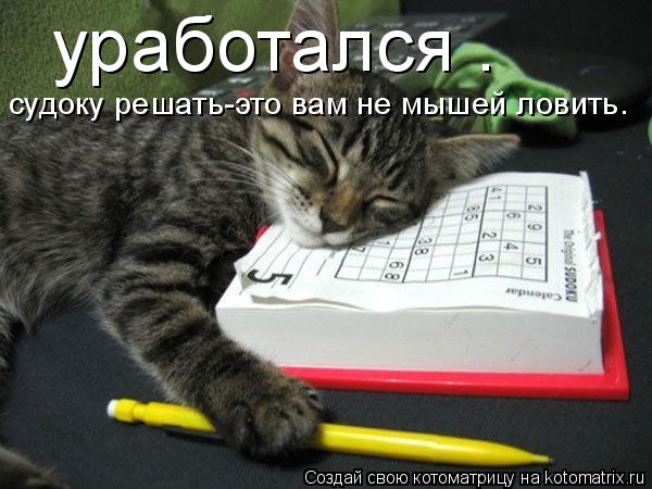 Котоматрица: уработался . судоку решать-это вам не мышей ловить.