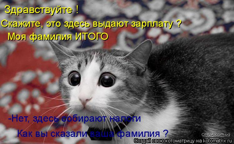 Котоматрица: Здравствуйте ! Скажите, это здесь выдают зарплату ? Моя фамилия ИТОГО -Нет, здесь собирают налоги Как вы сказали ваша фамилия ?