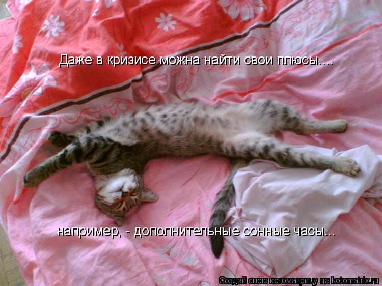 Котоматрица: Даже в кризисе можна найти свои плюсы.... например, - дополнительные сонные часы...