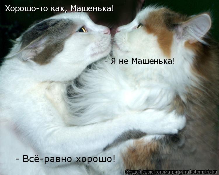 Котоматрица: Хорошо-то как, Машенька! - Я не Машенька! - Всё-равно хорошо!