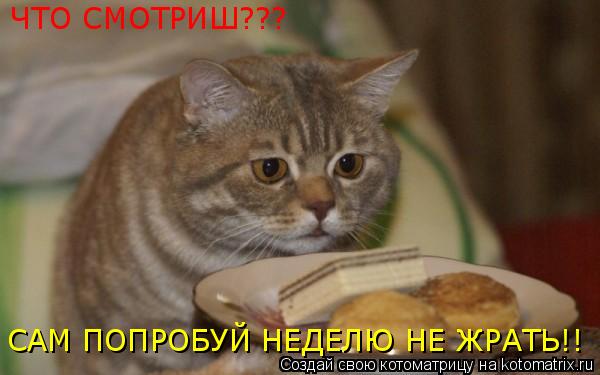Котоматрица: ЧТО СМОТРИШ??? САМ ПОПРОБУЙ НЕДЕЛЮ НЕ ЖРАТЬ!!