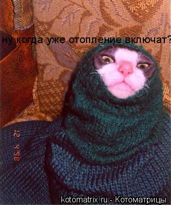 Котоматрица: ну когда уже отопление включат?