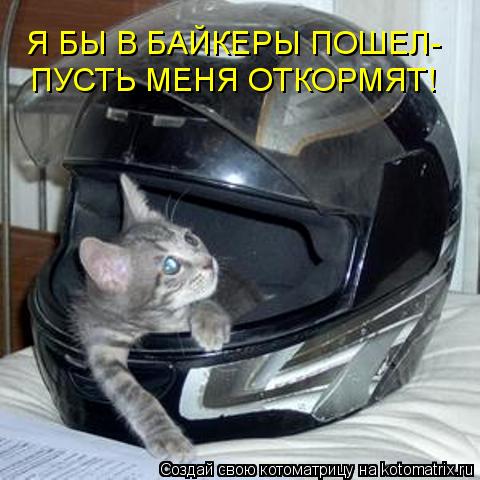 Котоматрица: Я БЫ В БАЙКЕРЫ ПОШЕЛ- ПУСТЬ МЕНЯ ОТКОРМЯТ!