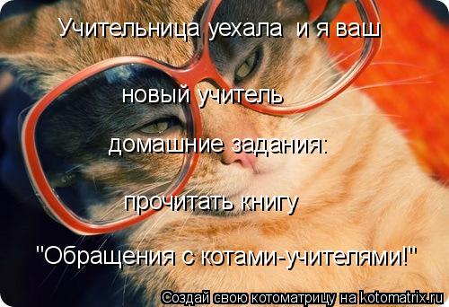 Котоматрица: Учительница уехала  и я ваш новый учитель домашние задания: прочитать книгу  "Обращения с котами-учителями!"