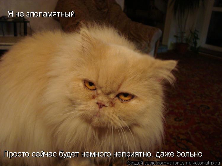 Котоматрица: Я не злопамятный Просто сейчас будет немного неприятно, даже больно