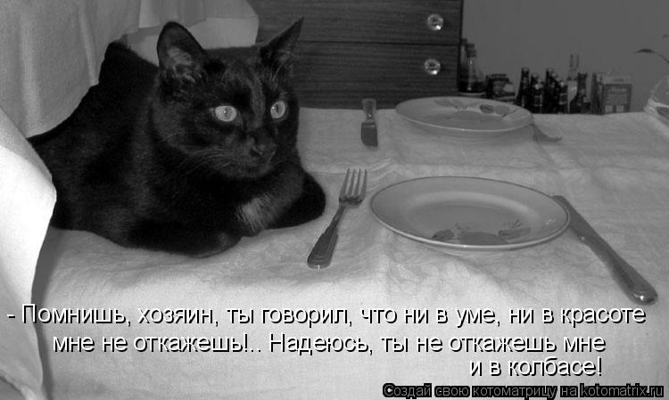 - Помнишь, хозяин, ты говорил, что ни в уме, ни в красоте мне не откажешь!.. Надеюсь, ты не откажешь ... Котоматрица: - Помнишь, хозяин, ты говорил, что ни в уме, ни в красоте мне не откажешь!.. Надеюсь, ты не откажешь мне и в колбасе!