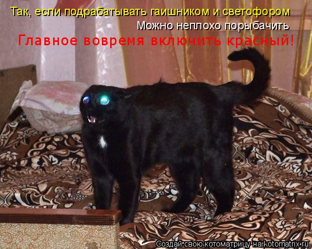 Котоматрица: Так, если подрабатывать гаишником и светофором Можно неплохо порыбачить Главное вовремя включить красный!