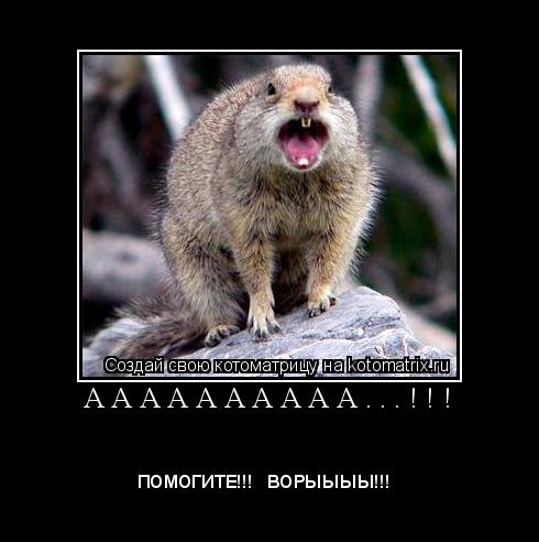 Котоматрица: А А А А А А А А А А . . . ! ! ! 