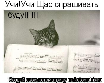 Котоматрица: Учи!Учи Щас спрашивать буду!!!!!!
