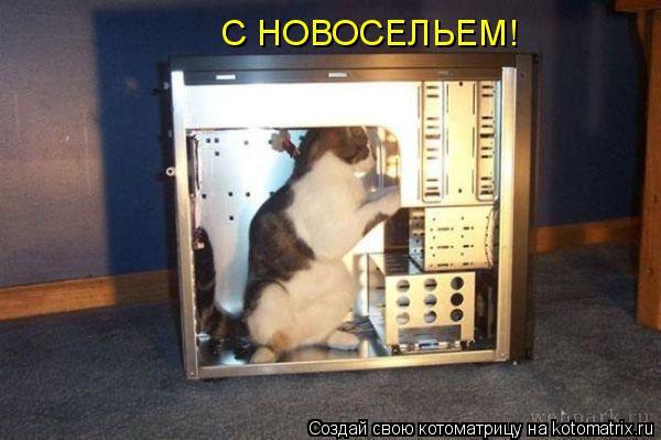 Котоматрица: С НОВОСЕЛЬЕМ!
