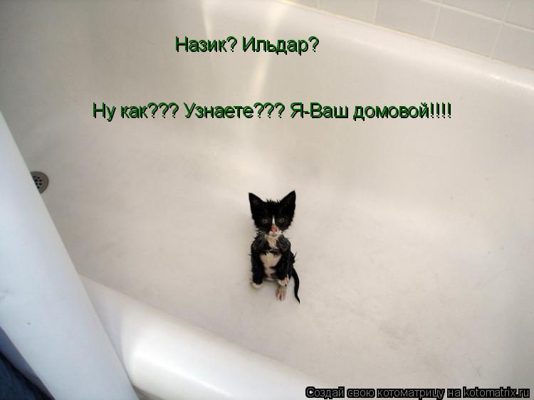 Котоматрица: Ну как??? Узнаете??? Я-Ваш домовой!!!! Назик? Ильдар?