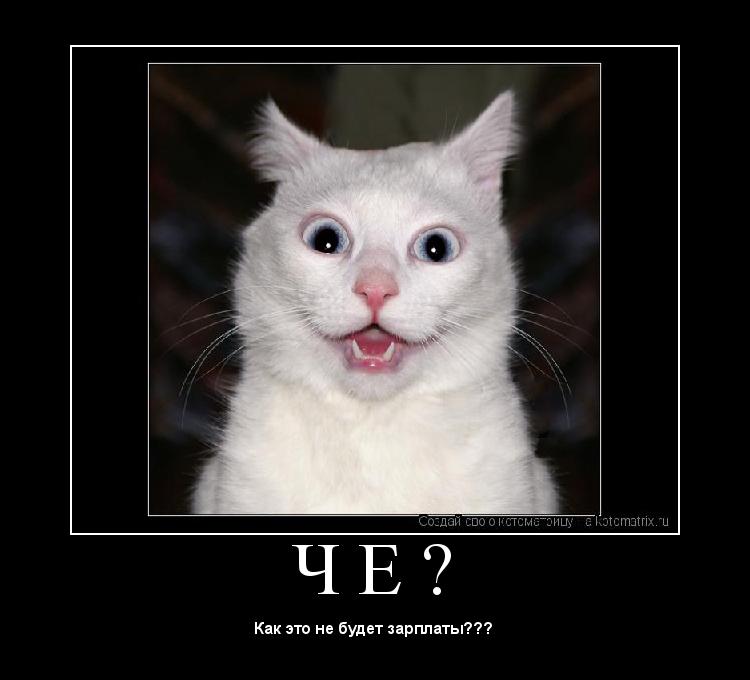 Котоматрица: Ч Е ? 