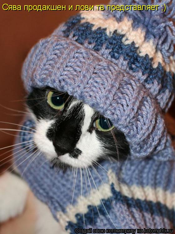 Котоматрица: Сява продакшен и лови тв представляет ;)