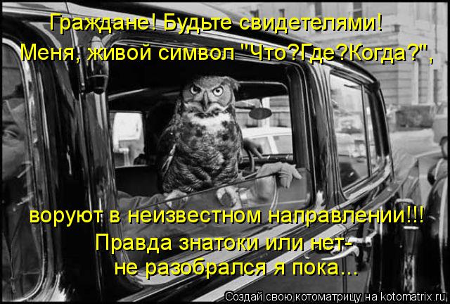 Котоматрица: Граждане! Будьте свидетелями! Меня, живой символ "Что?Где?Когда?", воруют в неизвестном направлении!!! Правда знатоки или нет- не разобрался я 