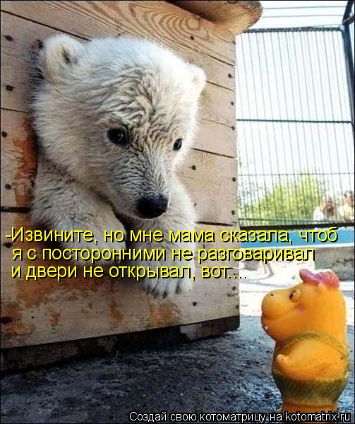 Котоматрица: -Извините, но мне мама сказала, чтоб я с посторонними не разговаривал и двери не открывал, вот....
