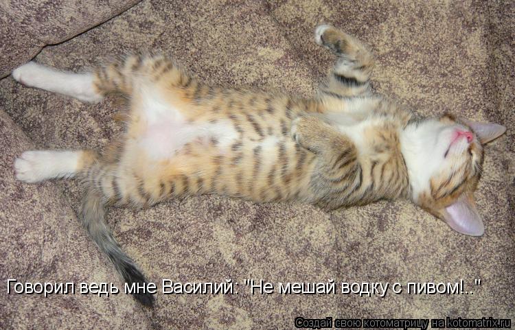 Говорил ведь мне Василий: "Не мешай водку с пивом!.."... Котоматрица: Говорил ведь мне Василий: "Не мешай водку с пивом!.."