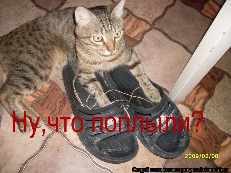Котоматрица: Ну,что поплыли?