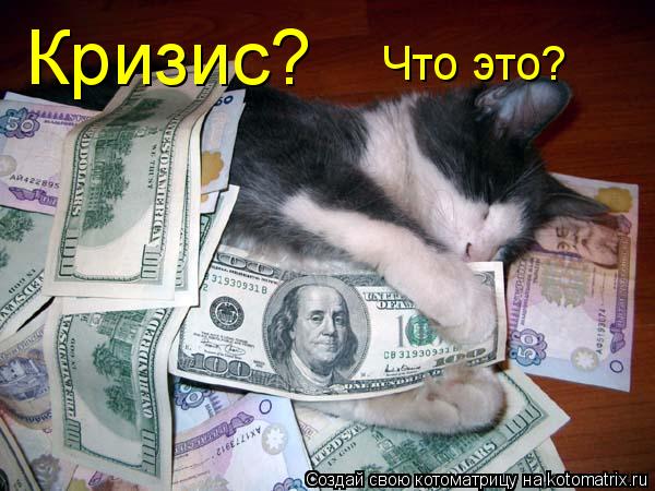 Котоматрица: Кризис? Что это?