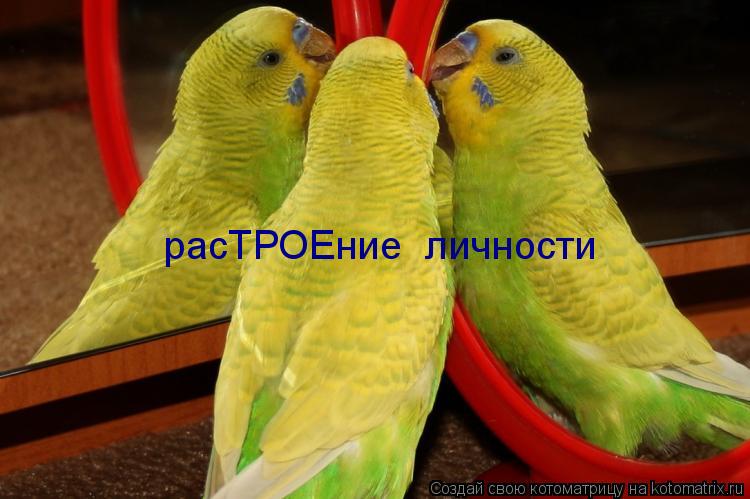 Котоматрица: расТРОЕние  личности
