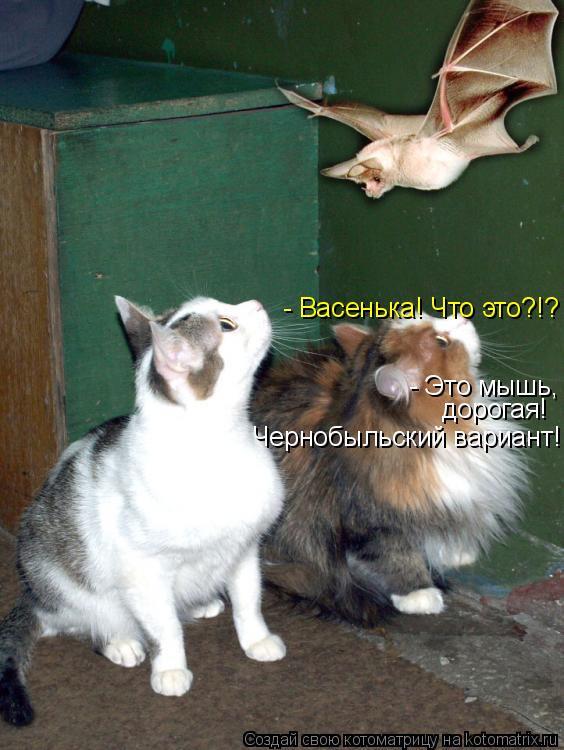- Васенька! Что это?!? - Это мышь, дорогая! Чернобыльский вариант!... Котоматрица: - Васенька! Что это?!? - Это мышь, дорогая! Чернобыльский вариант!