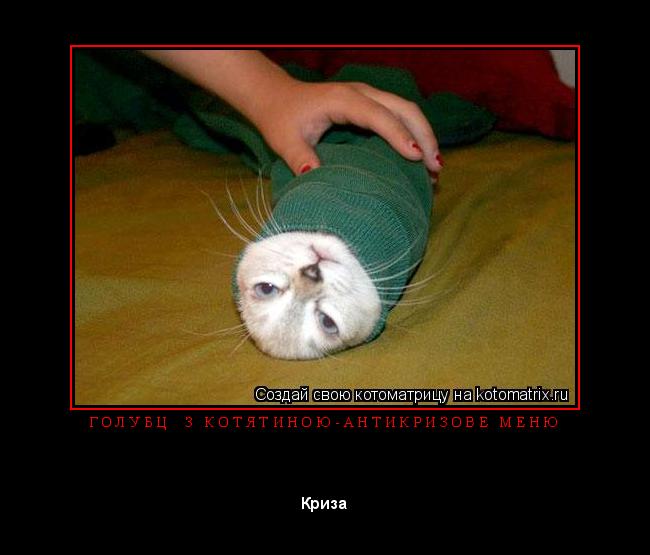 Котоматрица: Г О Л У Б Ц і   З   К О Т Я Т И Н О Ю - А Н Т И К Р И З О В Е   М Е Н Ю 