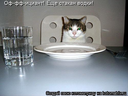 Котоматрица: Оф-фф-ициант! Еще стакан водки!