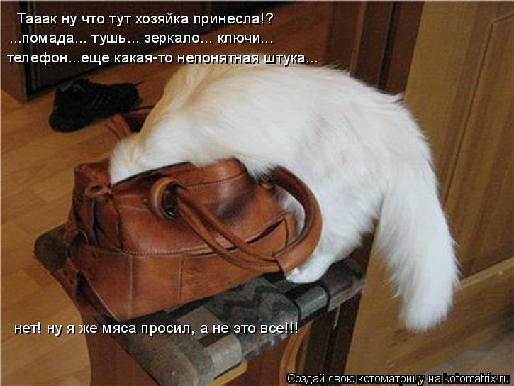 Котоматрица: Тааак ну что тут хозяйка принесла!? ...помада... тушь... зеркало... ключи... телефон...еще какая-то непонятная штука... нет! ну я же мяса просил, а не