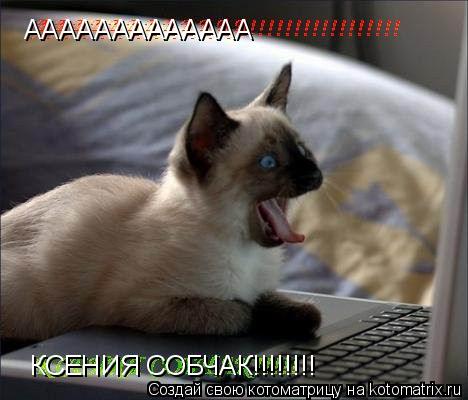 КСЕНИЯ СОБЧАК!!!!!!!! ААААААААААААА... Котоматрица: КСЕНИЯ СОБЧАК!!!!!!!! ААААААААААААА