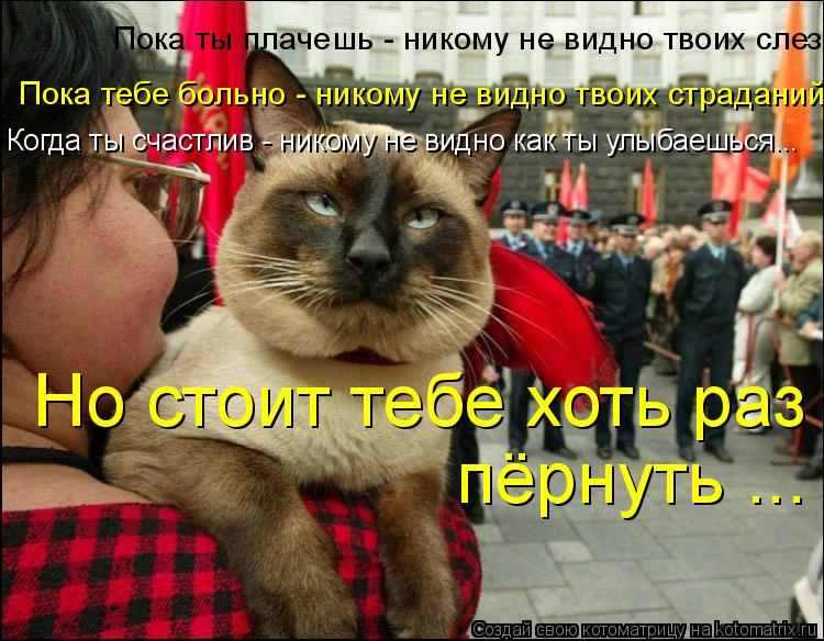 Котоматрица: Пока тебе больно - никому не видно твоих страданий Но стоит тебе хоть раз пёрнуть ... Пока ты плачешь - никому не видно твоих слез Когда ты сча