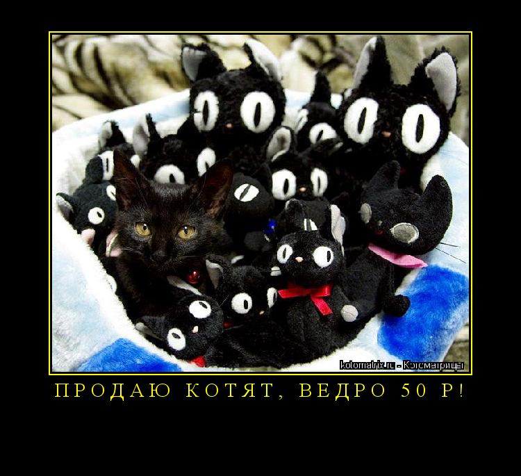 П Р О Д А Ю К О Т Я Т , В Е Д Р О 5 0 Р ! ... Котоматрица: П Р О Д А Ю К О Т Я Т , В Е Д Р О 5 0 Р !