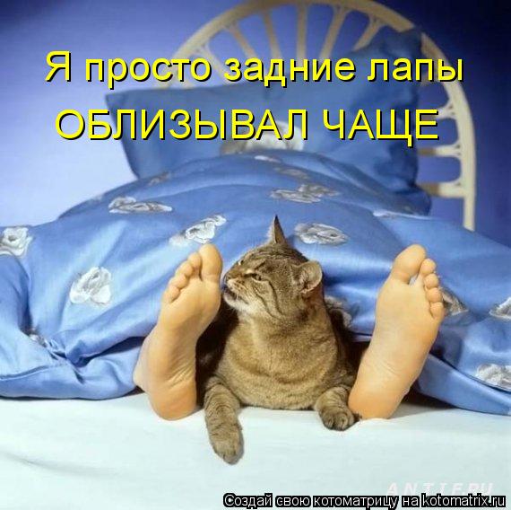 Котоматрица: Я просто задние лапы ОБЛИЗЫВАЛ ЧАЩЕ