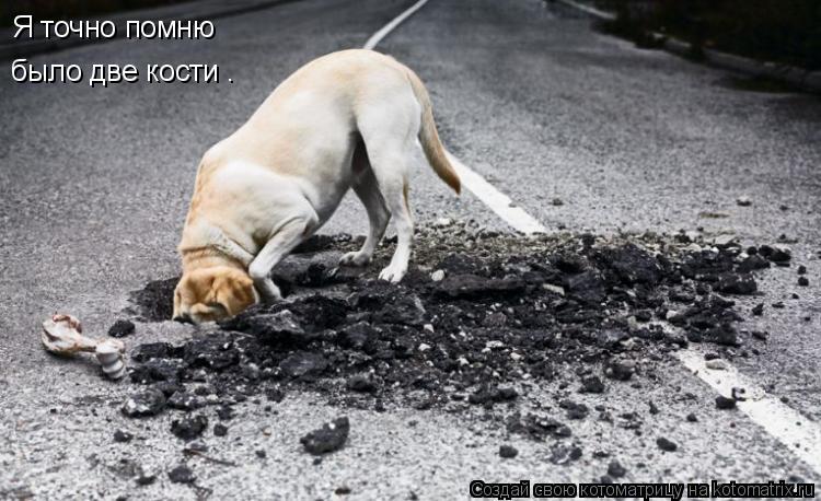 Я точно помню было две кости .... Котоматрица: Я точно помню было две кости .