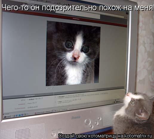 Котоматрица: Чего-то он подозрительно похож на меня!