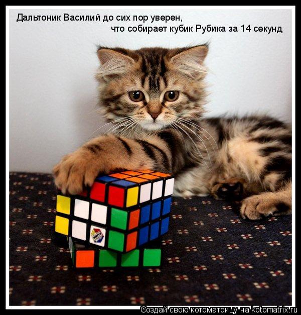 Котоматрица: Дальтоник Василий до сих пор уверен,  что собирает кубик Рубика за 14 секунд
