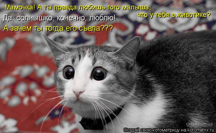 Мамочка! А ты правда любишь того малыша, что у тебя в животике? Да, солнышко, конечно, люблю! А заче... Котоматрица: Мамочка! А ты правда любишь того малыша, что у тебя в животике? Да, солнышко, конечно, люблю! А зачем ты тогда его съела???