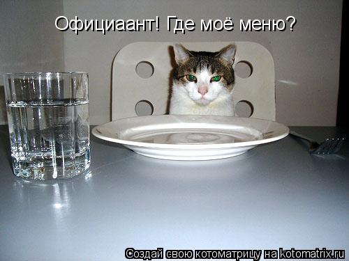 Котоматрица: Официаант! Где моё меню?