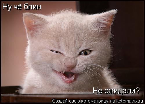 Ну чё блин Не ожидали?... Котоматрица: Ну чё блин Не ожидали?
