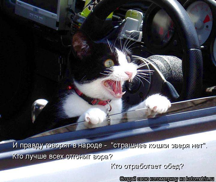И правду говорят в народе - "страшнее кошки зверя нет". Кто лучше всех отгонит вора? Кто отработает ... Котоматрица: И правду говорят в народе - "страшнее кошки зверя нет". Кто лучше всех отгонит вора? Кто отработает обед?