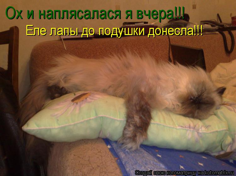 Ох и наплясалася я вчера!!! Еле лапы до подушки донесла!!!... Котоматрица: Ох и наплясалася я вчера!!! Еле лапы до подушки донесла!!!