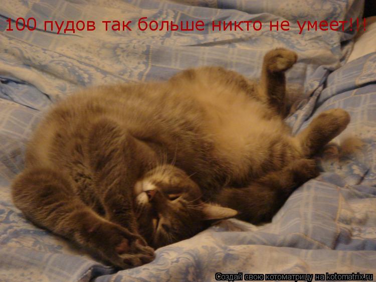 100 пудов так больше никто не умеет!!!... Котоматрица: 100 пудов так больше никто не умеет!!!