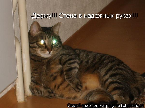 Котоматрица: -Держу!!! Стена в надежных руках!!!