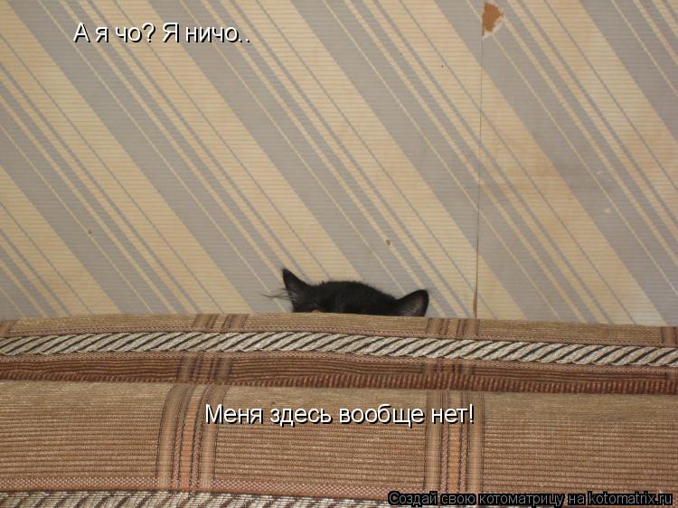 А я чо? Я ничо.. Меня здесь вообще нет!... Котоматрица: А я чо? Я ничо.. Меня здесь вообще нет!