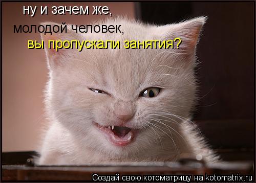 ну и зачем же, молодой человек, вы пропускали занятия?... Котоматрица: ну и зачем же, молодой человек, вы пропускали занятия?